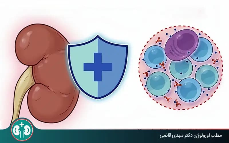 أعراض رفض الكلية المزروعة وعلامات التحذير التي يجب معرفتها