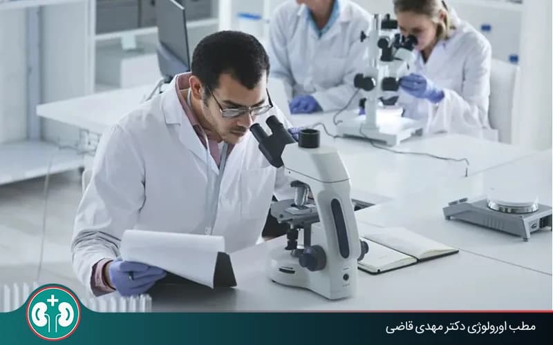 Bladder Cancer Pathology and Interpretation: Cancer Types, Grade, and Stage