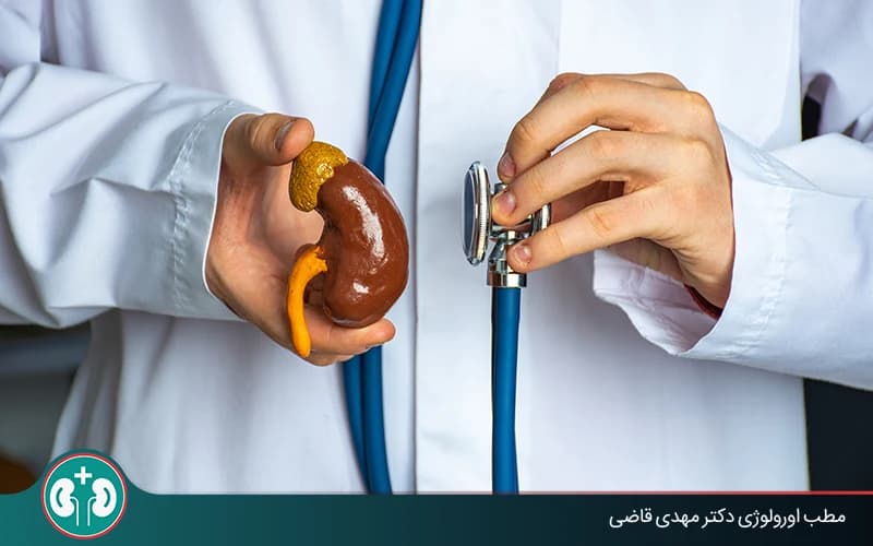 الحياة بكلية واحدة: المخاطر والرعاية ومتوسط العمر | الدكتور مهدي قاضي