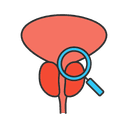 Prostate disease specialist 