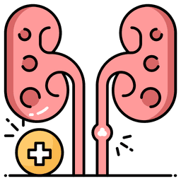 Kidney stone and urinary tract specialist 