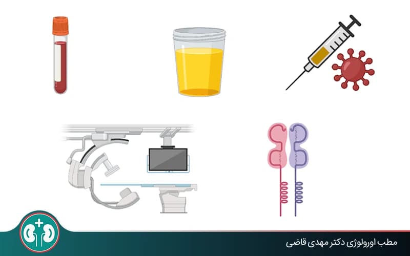 راهنمای آزمایشات قبل از پیوند کلیه؛ آزمایش پنل پیوند چیست؟