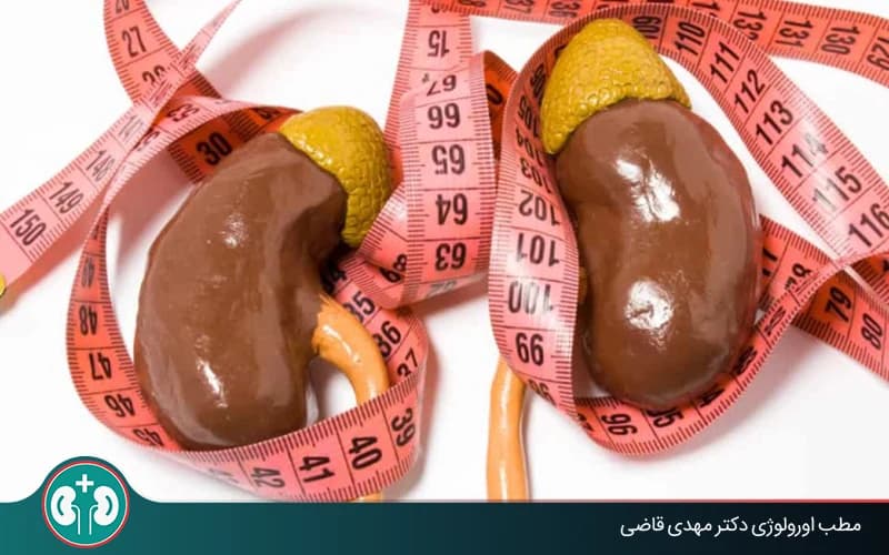 اندازۀ طبیعی کلیهها چند میلیمتر است؟