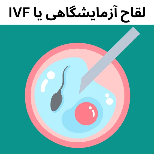 What Is IVF? A Guide to In Vitro Fertilization